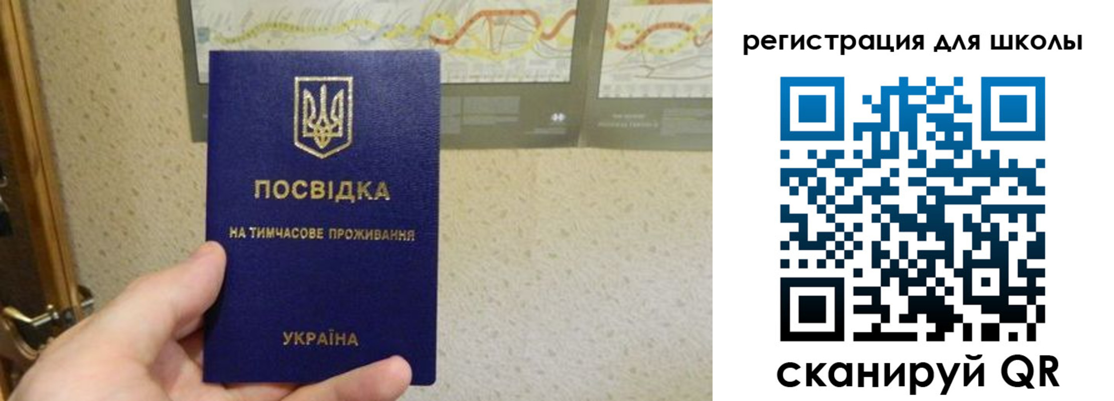 временная прописка в Мирном